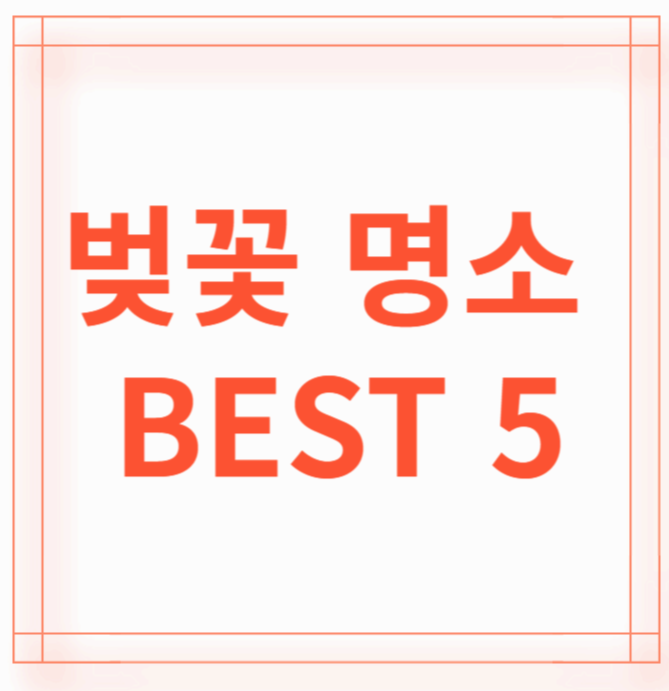경북 벚꽃명소 BEST 5
