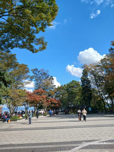 서울 단풍명소 남산타워 단풍 시기와 절정 풍경