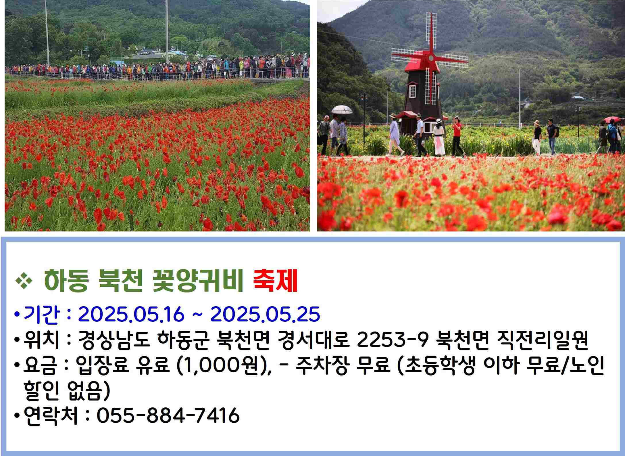 하동 북천 꽃양귀비 축제