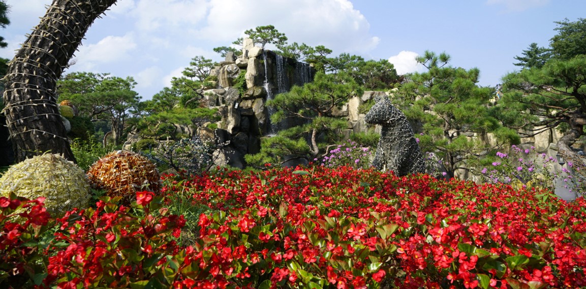 포천 허브 아일랜드