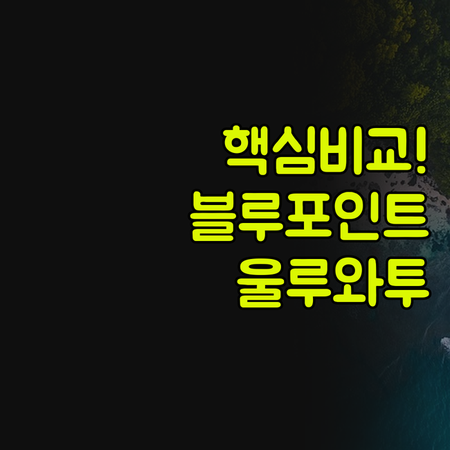 블루 포인트 베이 빌라 스파 그륀 울..