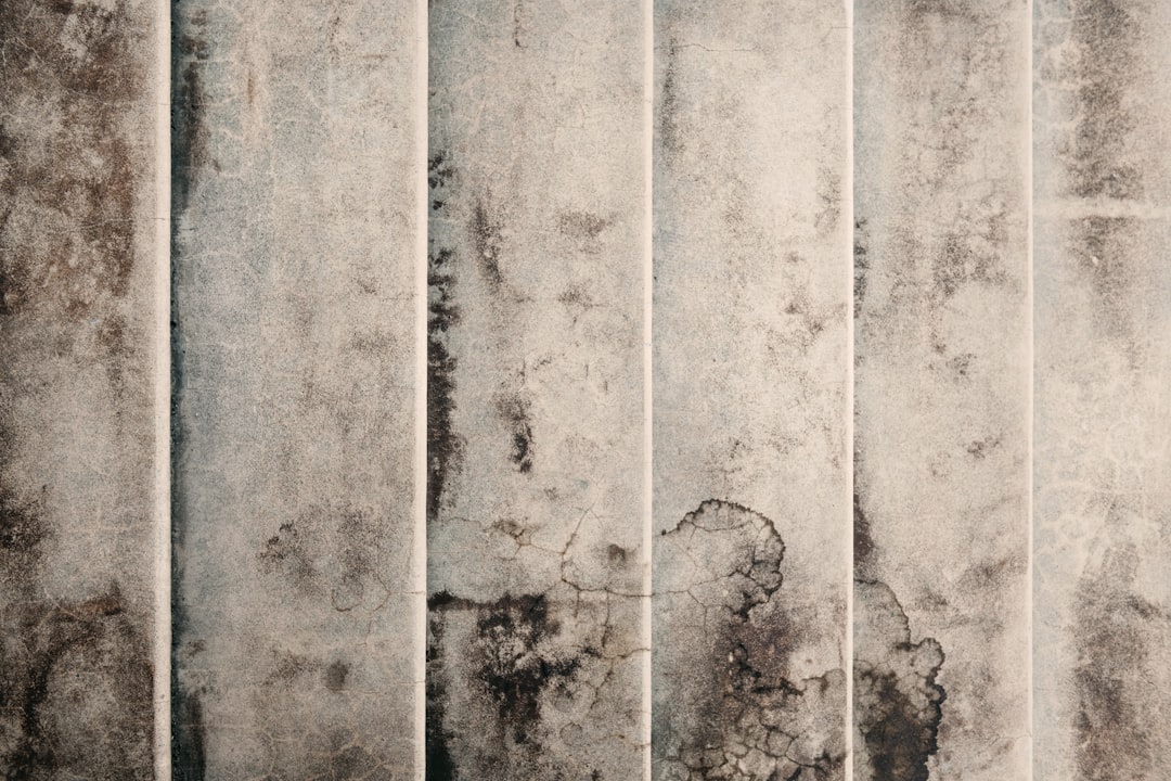 Mold