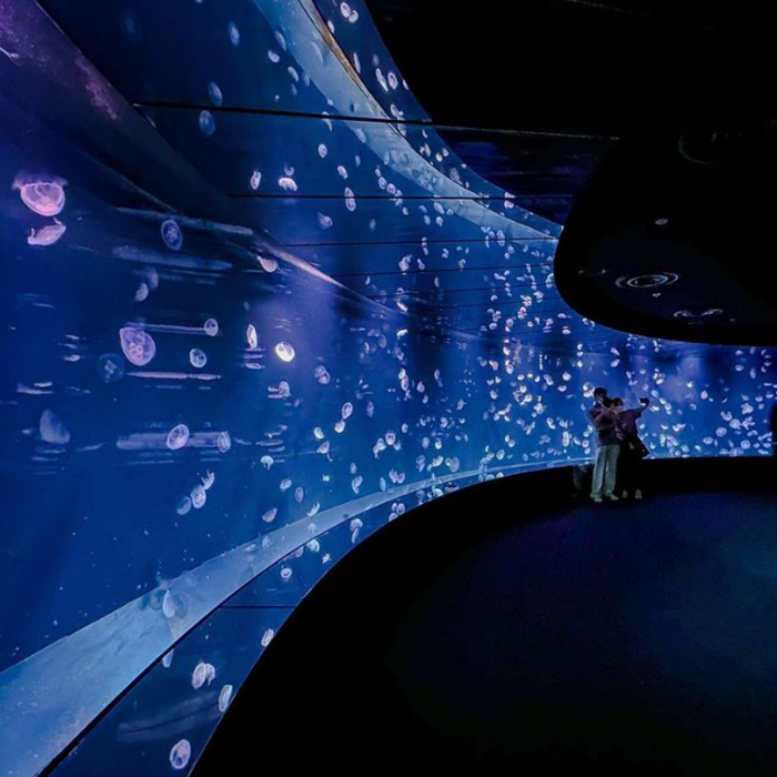 선샤인시티 아쿠아리움 02