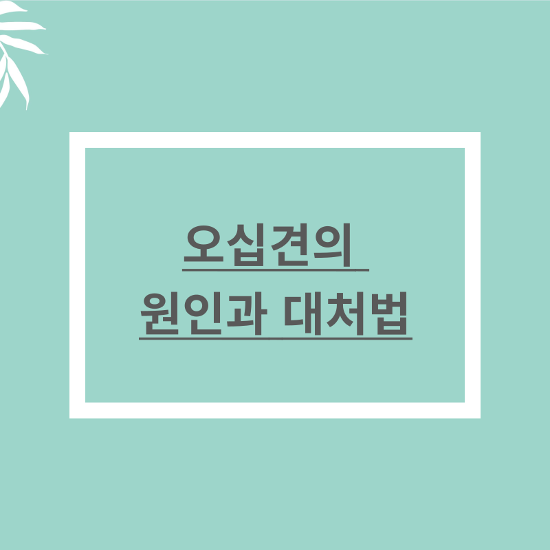 오십견의 원인과 대처법