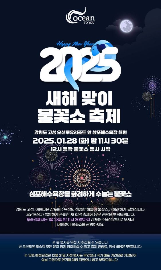 2025년 새해맞이 불꽃 쇼