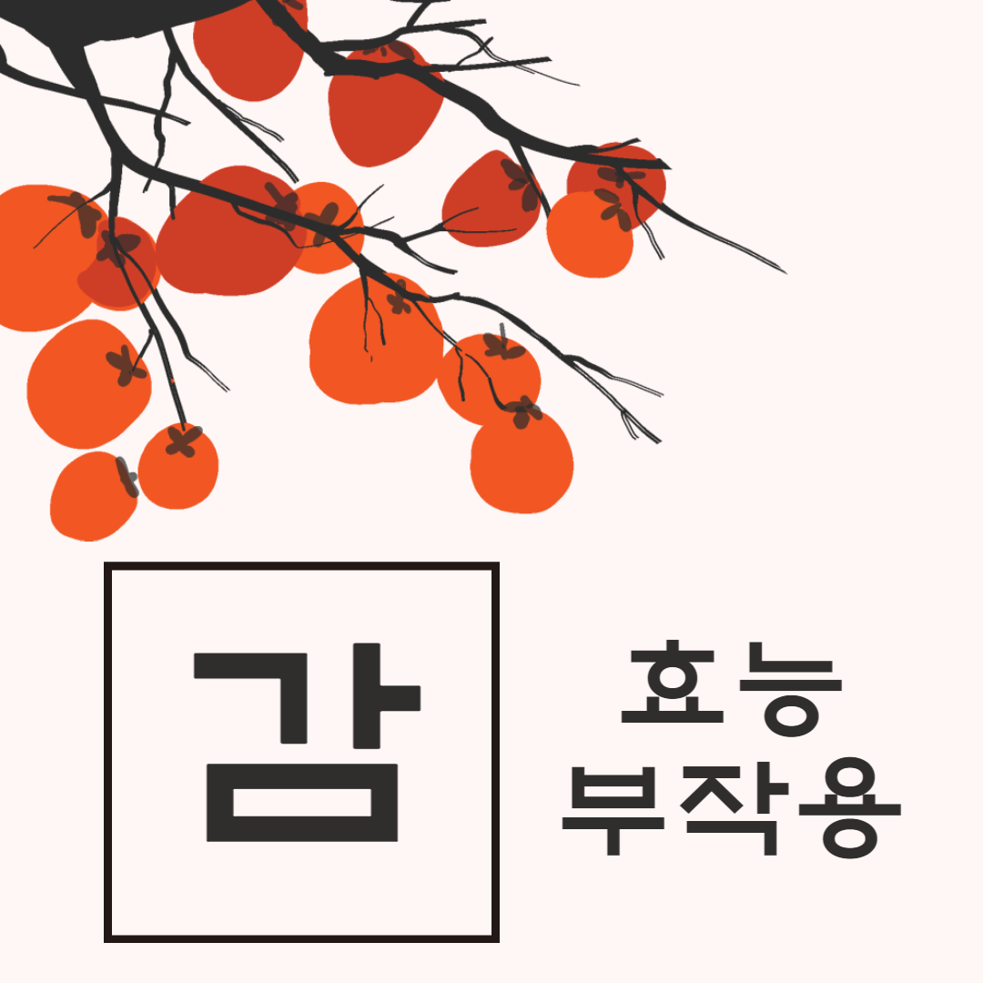 감 효능 부작용