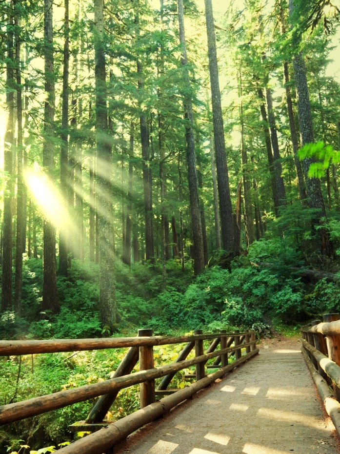 임실 가볼만한곳 베스트10