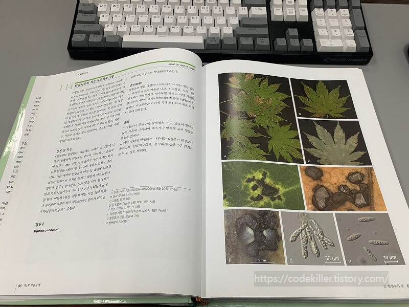 조경수 병해충 도감