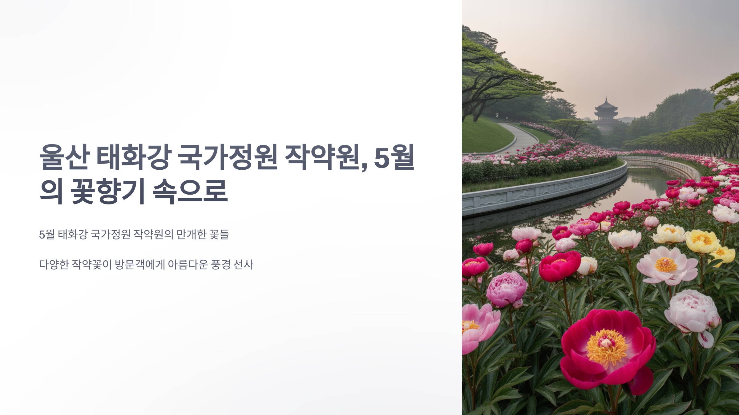 참조-울산-태화강-국가정원-작약원-1