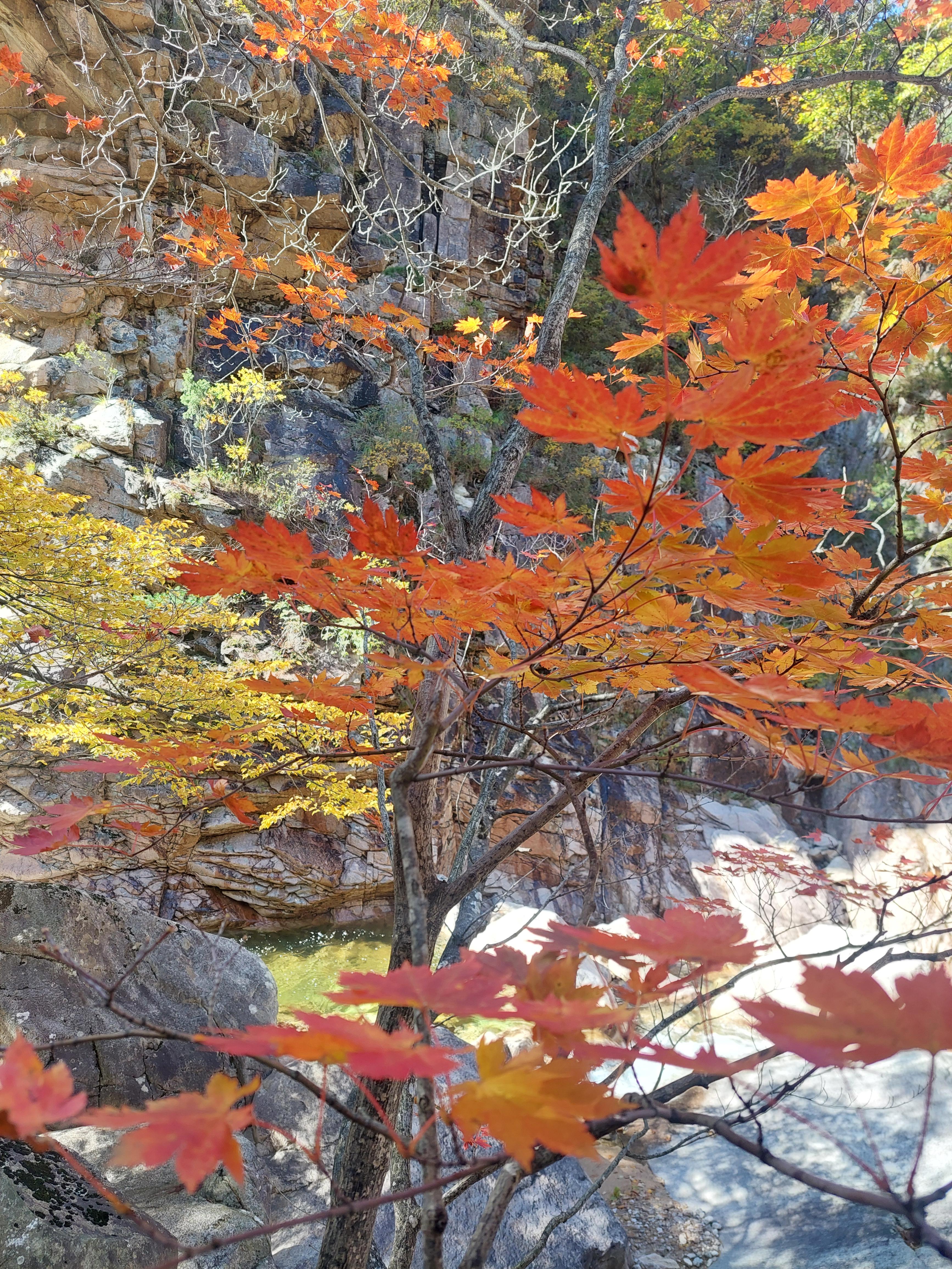 설악산