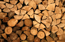 유성 행사 : 나무야 놀자 목재 체험행사