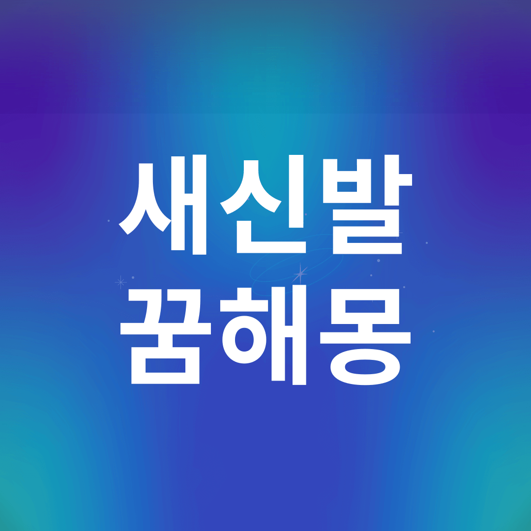 새 신발 꿈