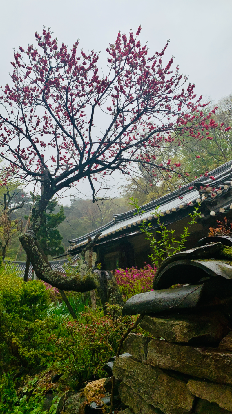 개심사 풍경