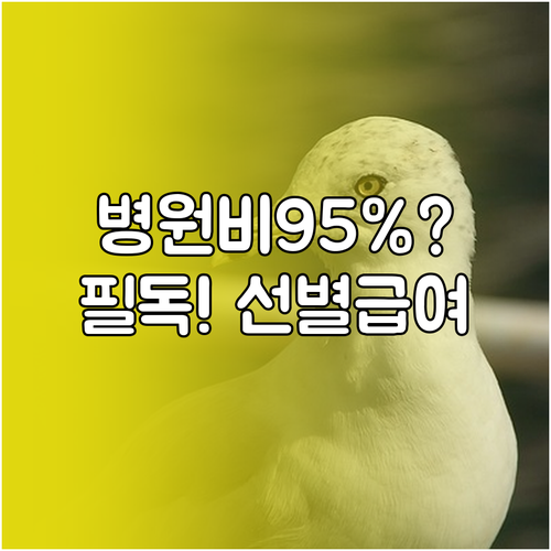 병원비 95% 본인부담률 대상자 및 ..