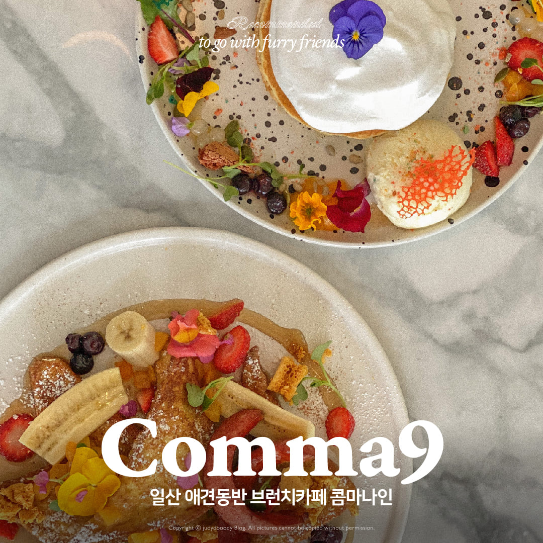 콤마나인 브런치카페 소개 썸네일