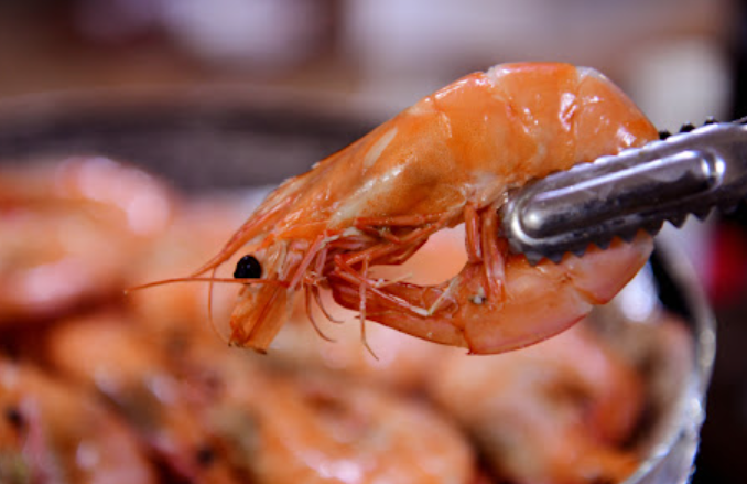 홍성 대하 축제 특설무대 가수진 보기