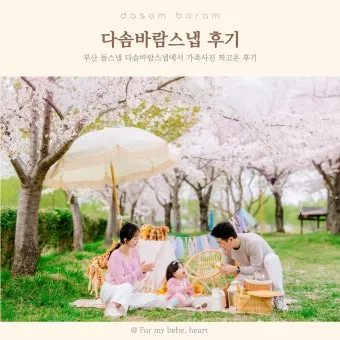 부산 바람 방향 해운대 백사장 일출 시간 체온 유지_6