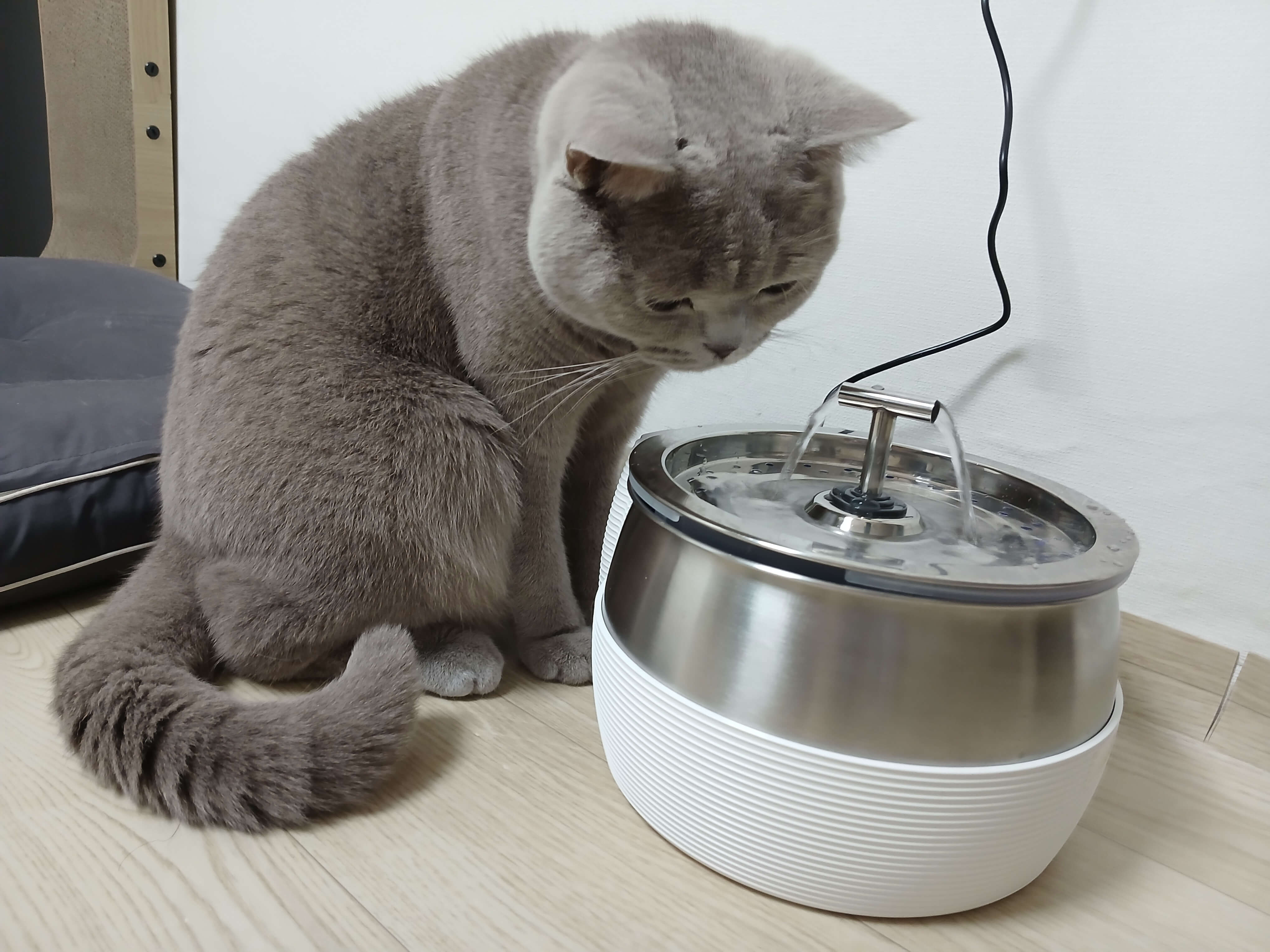 는 물그릇의 높이를 기준으로 전날과 비교하는 방식으로 확인했습니다