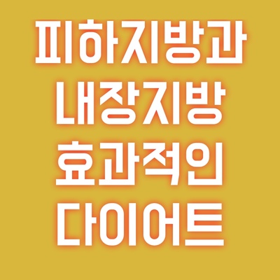 피하지방-내장지방-다이어트