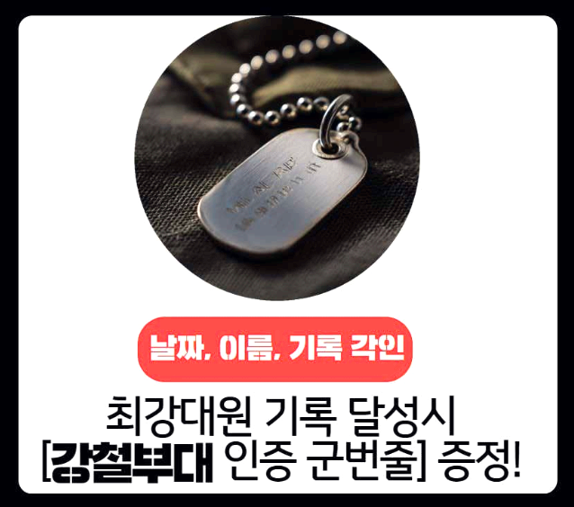해운대 페스타