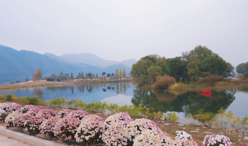 자라섬