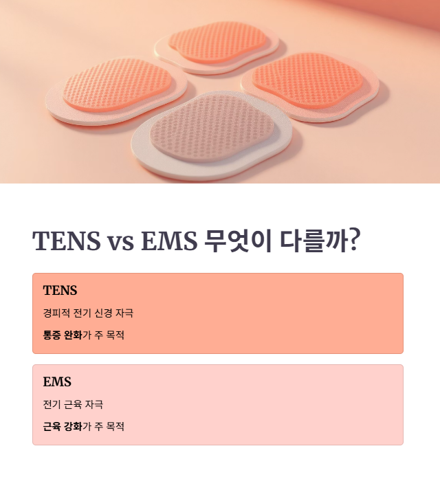 핵심 비교 포인트: 기능 및 자극 세기