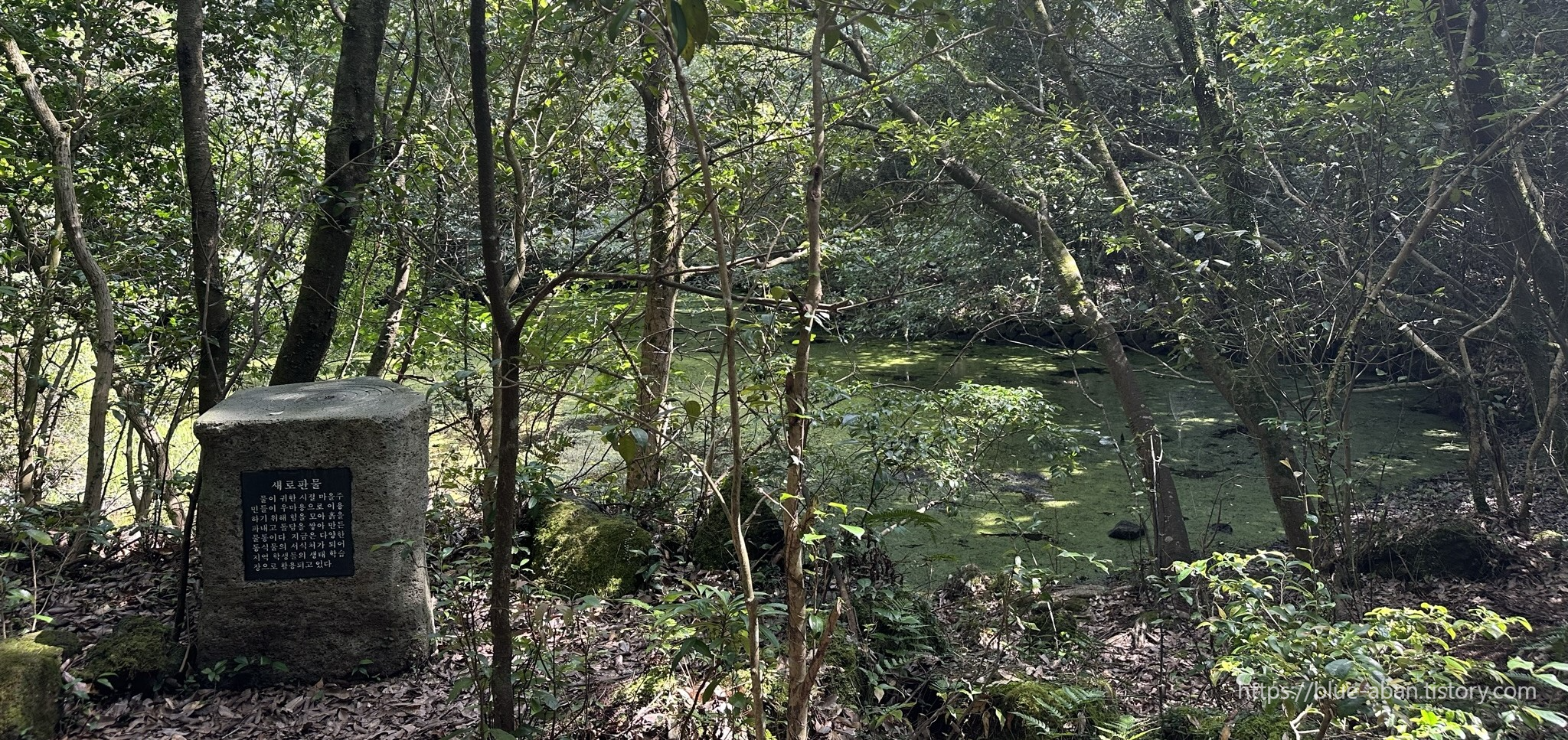 동백동산-새로판물