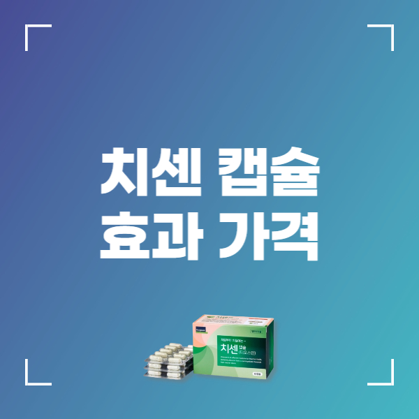 치센 캡슐 효과 가격 복용법 부작용 구입 방법
