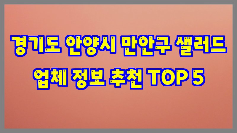 경기도 안양시 만안구 샐러드