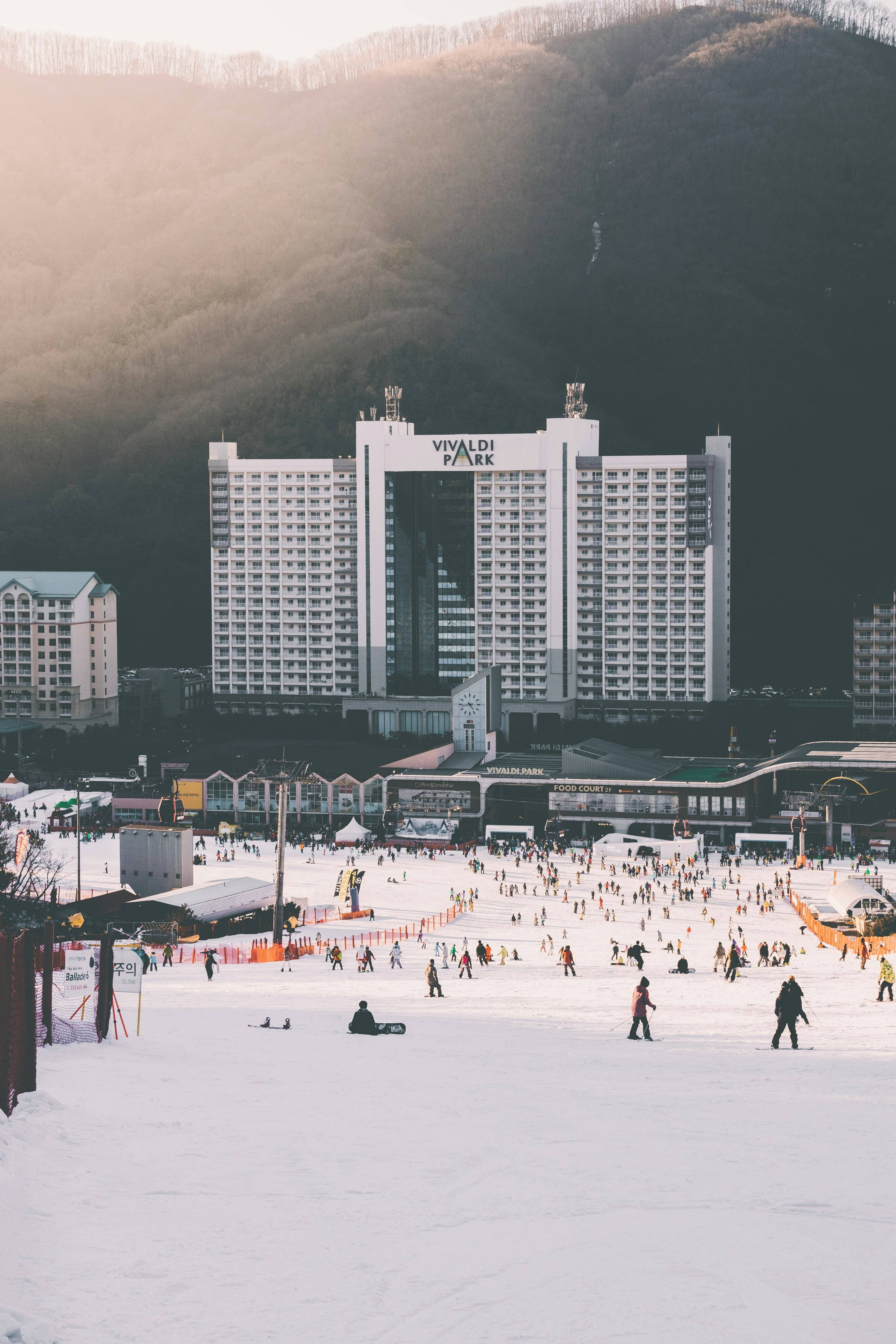 중국인 무비자 입국 반대 청원 급상승｜불법체류 범죄유입 논란과 참여방법총정리
