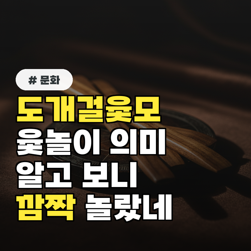 도개걸윷모 윷놀이, 각 이름에 숨겨진 의미 알고 보니 깜짝