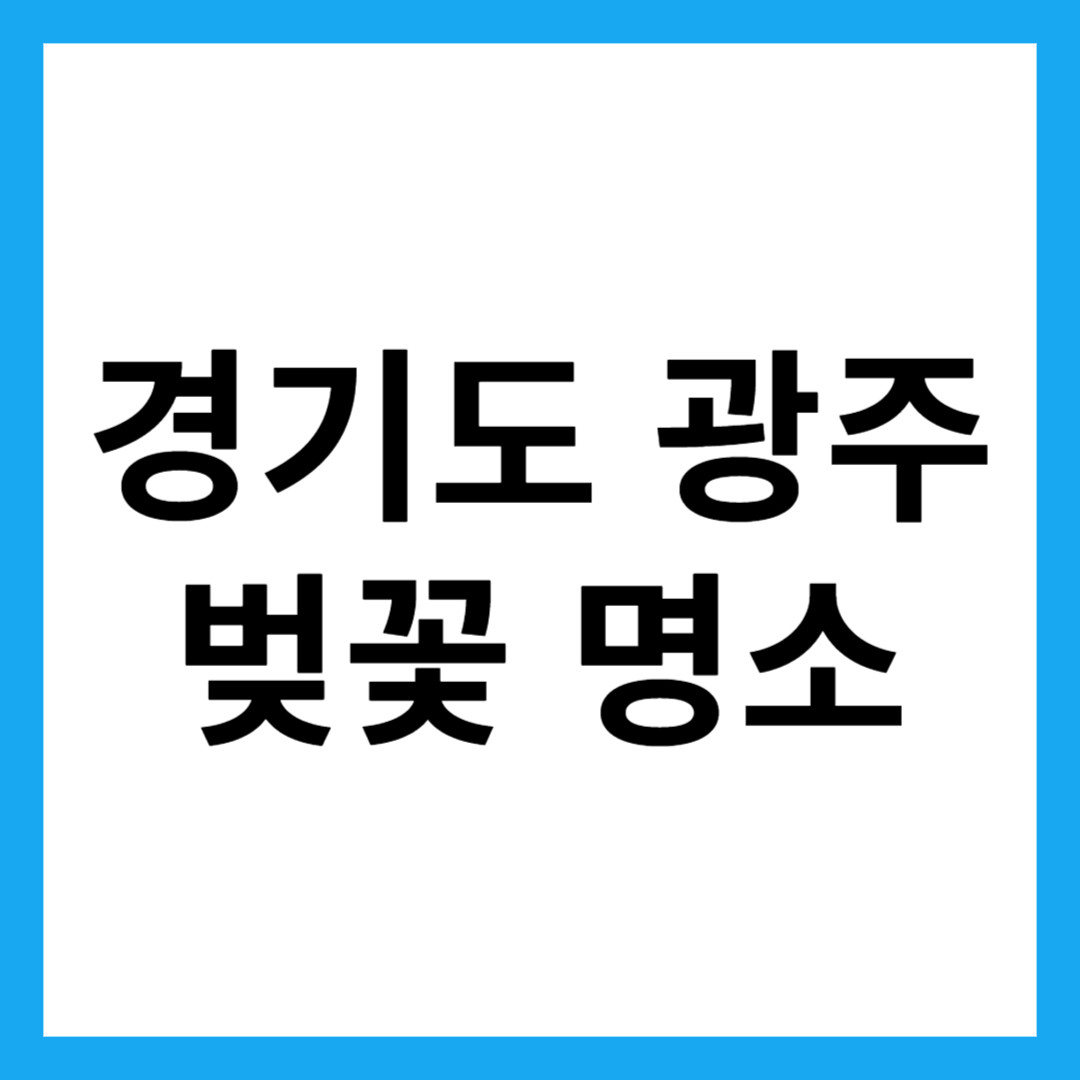 경기도 광주 벚꽃 명소