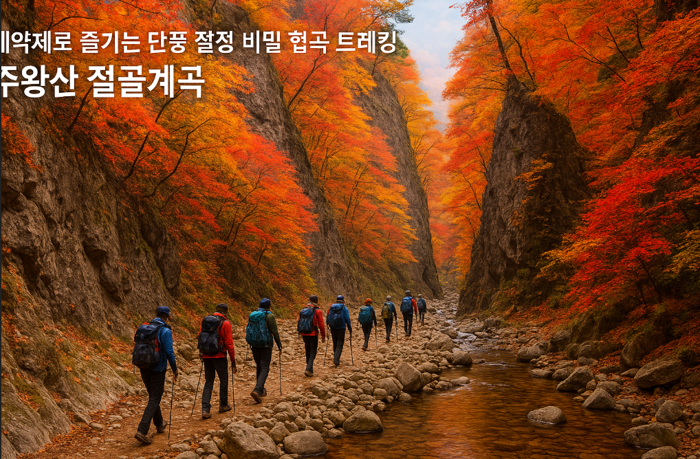 예약 필수! 주왕산 절골계곡 단풍 절정 숨은 트레킹 코스