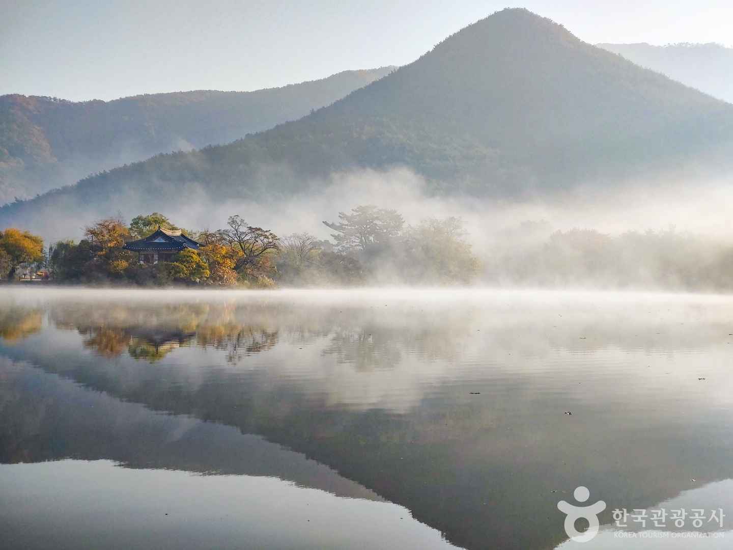 밀양 위양지 이팝나무