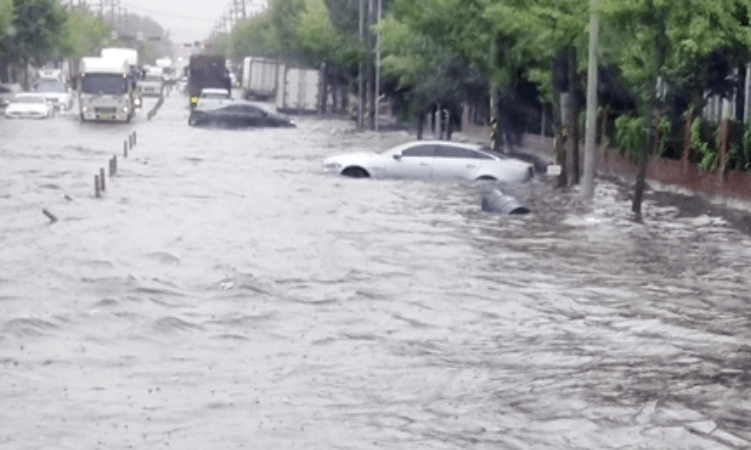 집중호우 (폭우) 피해 재난지원금