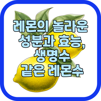 레몬의 놀라운 성분과 효능, 생명수 같은 레몬수
