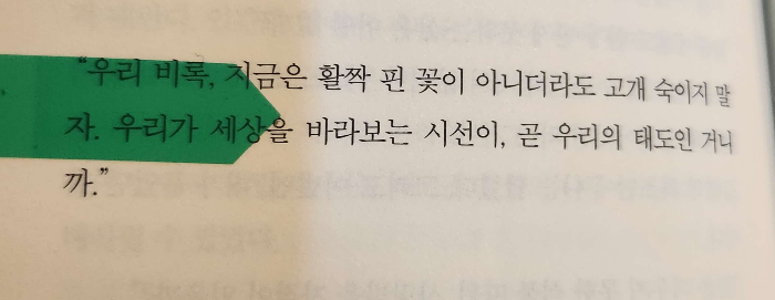 소설베스트
