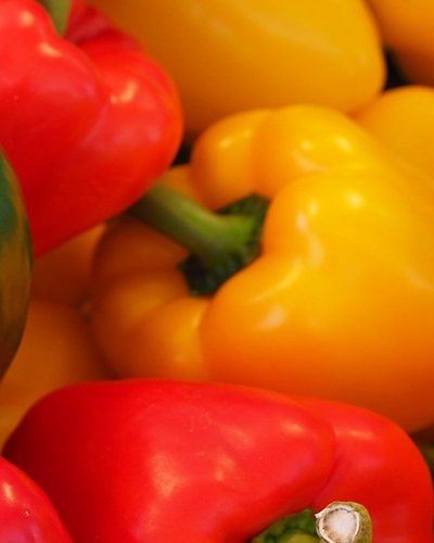 파프리카 효능 사진27