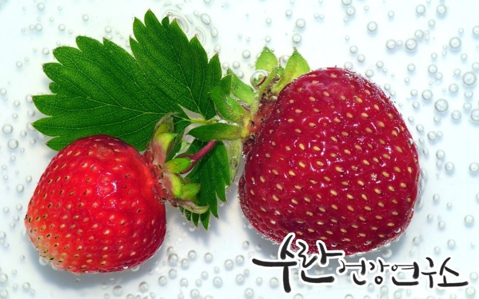 탄산수 부작용 효능 주의사항6