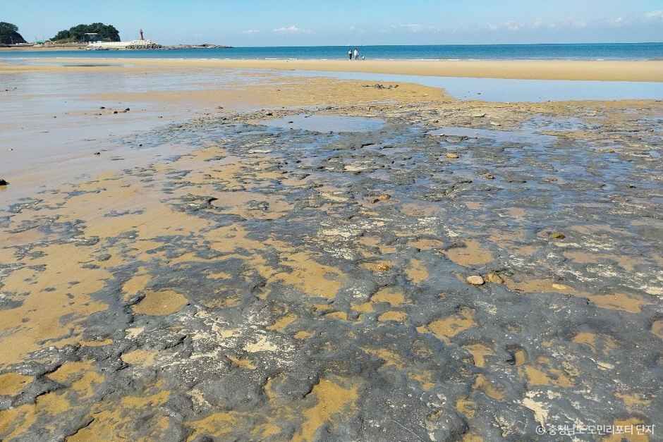 태안 가볼만한곳 베스트10