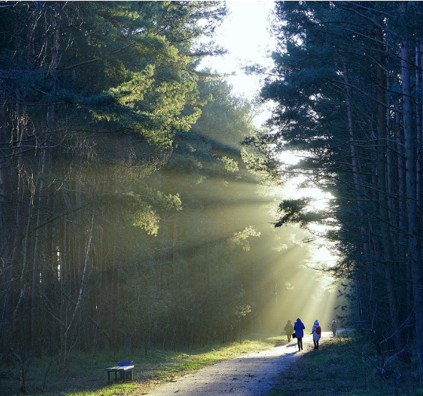 운암산의 자연경관 사진