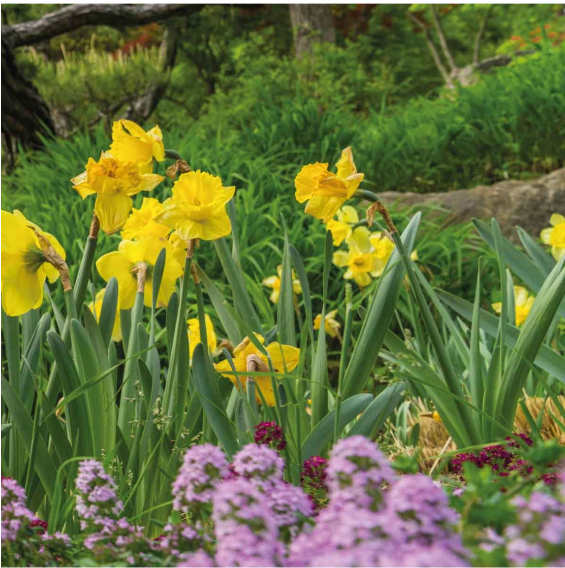 화담숲 예약 취소