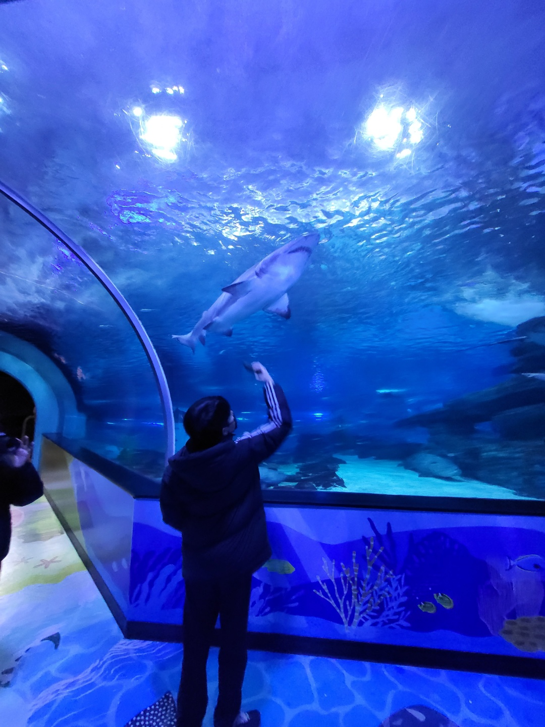 부산 아쿠아리움