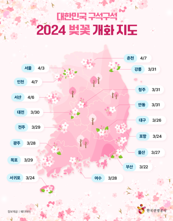 2024 벚꽃 개화시기