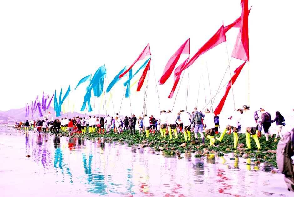 진도 신비의 바닷길축제 2026