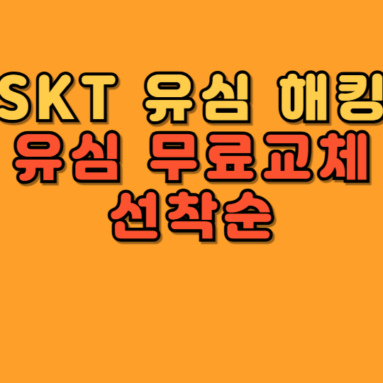 SK유심 교체 유심 보호 서비스 선착순 신청