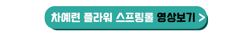 차예련 플라워 스프링롤 영상보기
