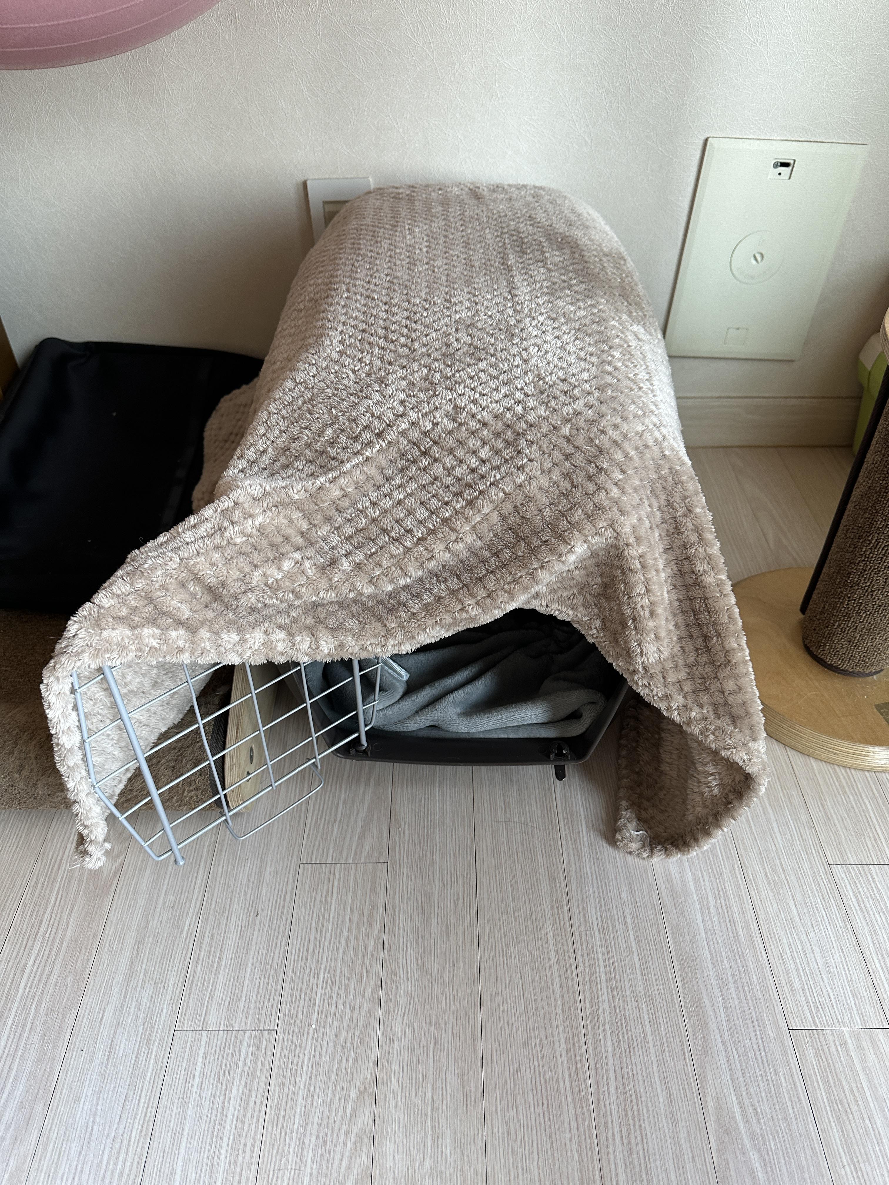 평소에는_하우스로_사용하는_이동장