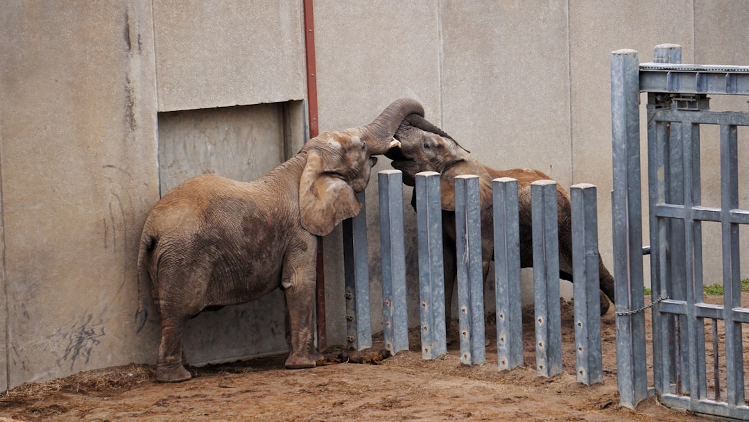 Companionship.