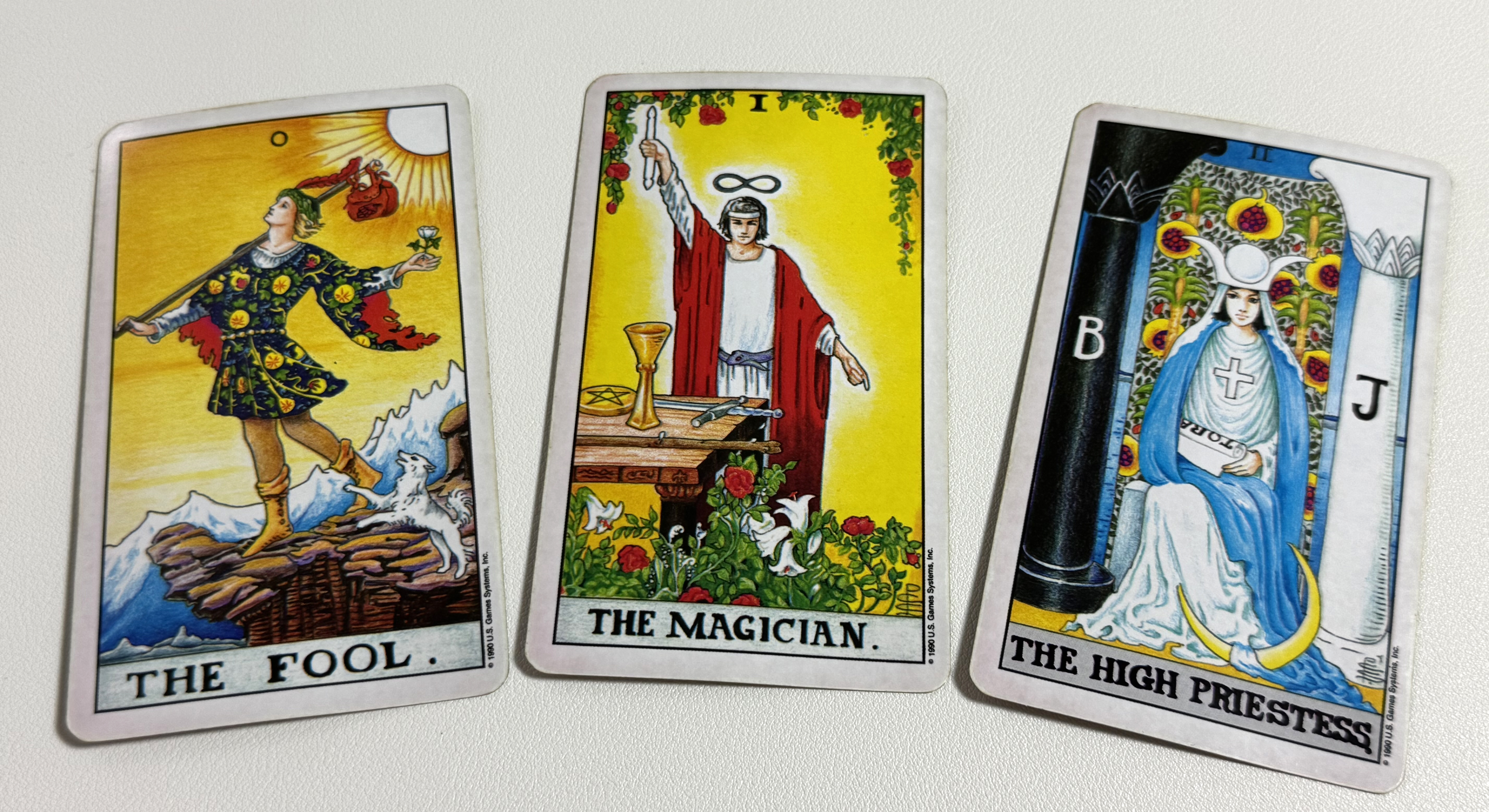 타로 댁